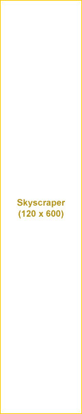 Wide Skyscraper (120 x 600 pixel)