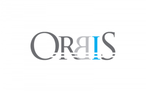Orbis Consulting