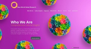 New World Global Research - Web Design